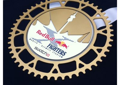 Medaillen / Red Bull X-Fighters